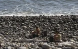 Sainte-Marie : plus d'une cinquantaine de bénévoles mobilisés pour nettoyer le littoral