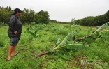 dégats cyclone Belal chez une agricultrice 