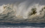 houle en bord de mer avec de grosses vagues