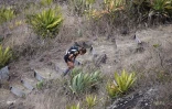 Grand raid