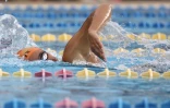 Natation comité régional Championnat hiver
