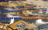 interclub natation 28 novembre 2020