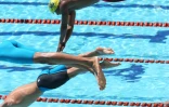 natation 