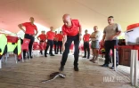 Serpents, nouveaux animaux de compagnie... les pompiers de La Réunion formés aux risques animaliers