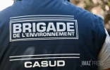 Errance animale avec la Casud