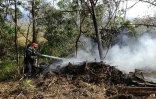 Les Avirons: Incendie la lisière de la forêt domaniale 