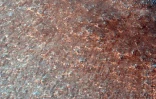 Mars Nasa 