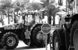 manifestation planteurs 