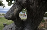 cyclisme, vélo, Tour de l'île 2019, prologue, Sébastien Elma