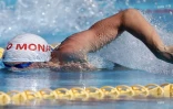 Natation