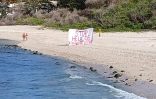 Stop aux survols touristiques
