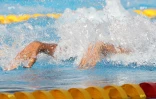 25ème meeting de natation de l\\\\\\\'océan Indien