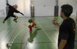 Sélection réunionnaise canne de combat