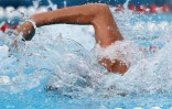 Natation 
