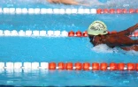 Natation