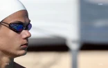 Troisième journée du meeting de natation de l'océan indien