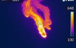 Volcan