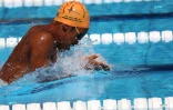 Natation
