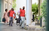 Grève aux Flamboyants