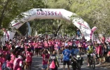 Odyssea 2021