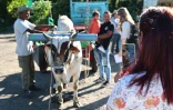 Baptême des couteaux à Saint-Pierre avant la campagne sucrière dans le sud