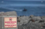 panneaux requins