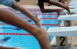 meeting natation 2017