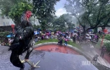 Manifestation délinquance