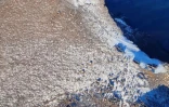 Couche de givre au sommet du Piton des Neiges 