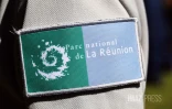parc national de la réunion