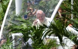 visite du pape à maurice