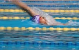 Championnat de natation de La Réunion