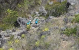 Grand Raid 2014