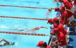 meeting natation 2015