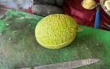 boulette fruit a pain a la morue
