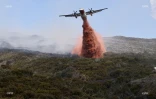 Incendie au Maïdo 