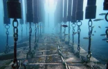 Sharksafe barrier