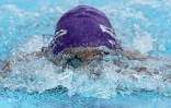 Natation 