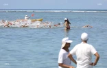 Vainqueurs 5000 m meeting océan Indien
