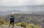 Incendie du Maïdo 9 novembre 2020