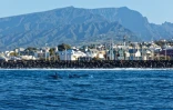 Terre Sainte : un groupe de grands dauphins de l'Indo-Pacifique observé 