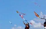 Marmay's en l'air : les cerfs-volants font le show à Saint-Pierre