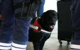 Contrôle de police à l'aéroport Roland Garros
