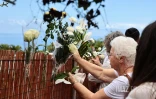 Les Avirons : une marche blanche en hommage aux deux fillettes tuées par leur père 