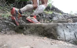 Grand Raid 2011
