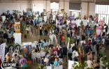Le Port : 2 000 visiteurs au rendez-vous des 6èmes Villages de l’Emploi