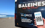 dispositif Balèn Terla