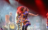 Jazz dann Port 2025 LIndigo 