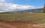 zone economique de la plaine de Gillot