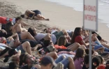 Hommage victimes requins 